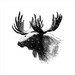 Vintage Elk Sketch Posters and Art